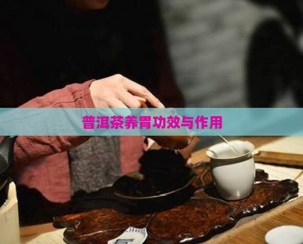 普洱茶养胃功效与作用