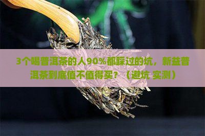 新益普洱茶如何