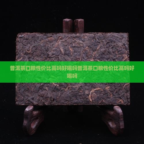 普洱茶口粮性价比高吗好喝吗