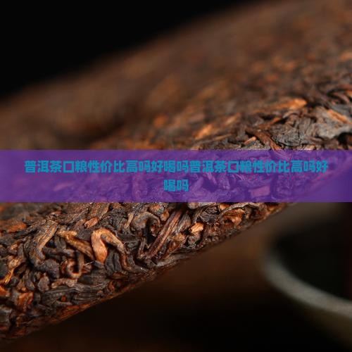 普洱茶口粮性价比高吗好喝吗