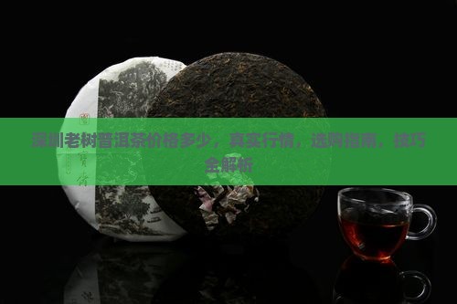 深圳老树普洱茶价格多少