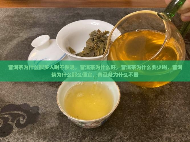 普洱茶为什么很多人喝不惯呢