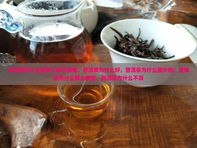 普洱茶为什么很多人喝不惯呢