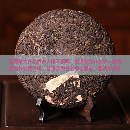 普洱茶为什么很多人喝不惯呢