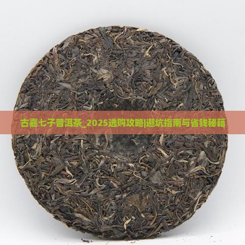 古嘉七子普洱茶