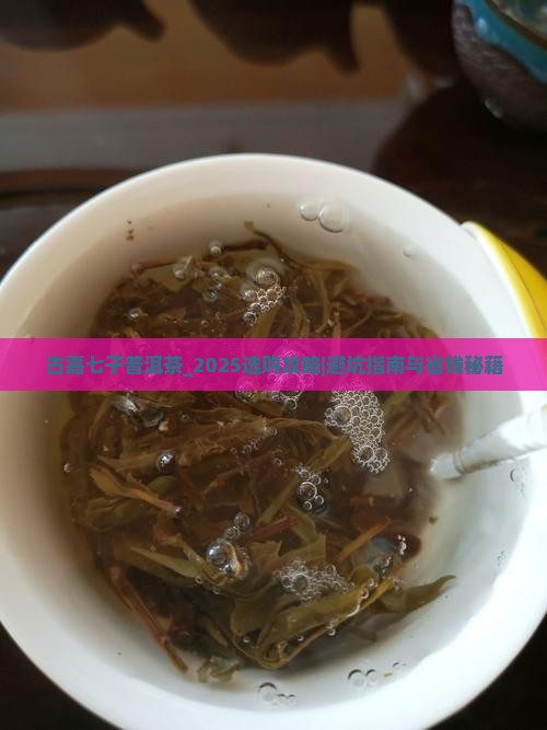 古嘉七子普洱茶