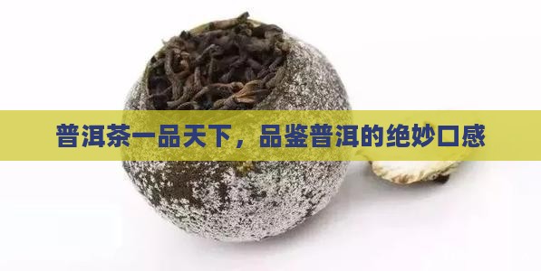 普洱茶一品天下口感描述