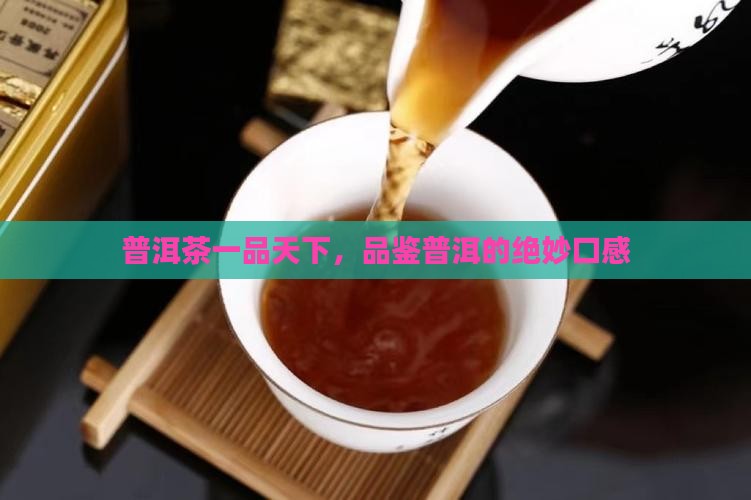 普洱茶一品天下口感描述
