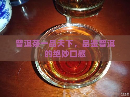 普洱茶一品天下口感描述