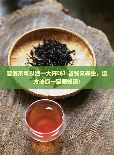 普洱茶可以泡一大杯吗多少钱