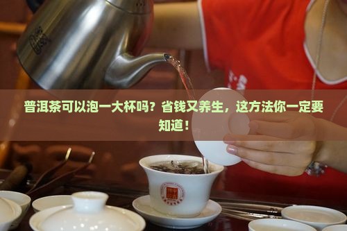 普洱茶可以泡一大杯吗多少钱