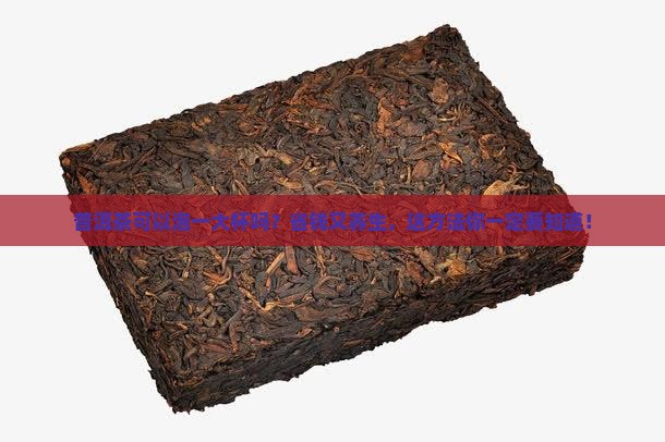 普洱茶可以泡一大杯吗多少钱