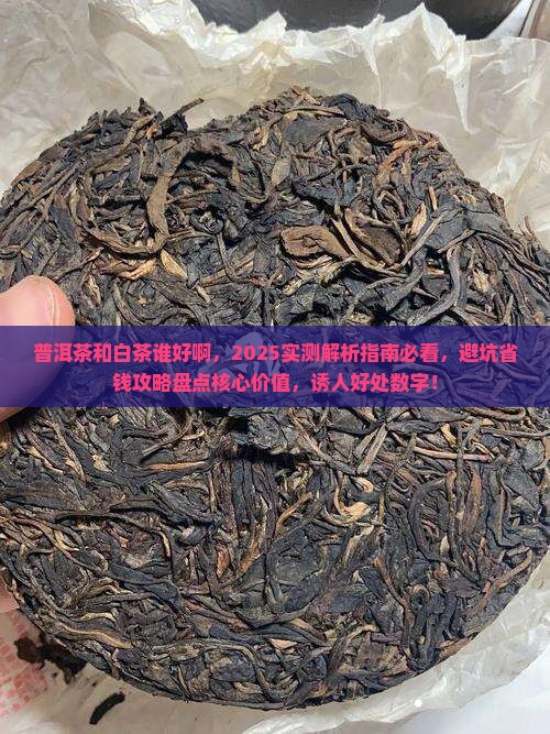 普洱茶和白茶谁好啊