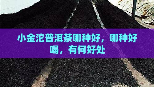 小金沱普洱茶哪种品牌好