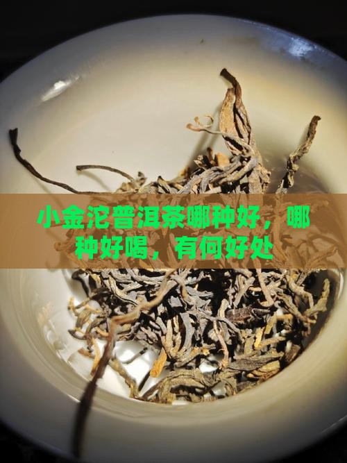 小金沱普洱茶哪种品牌好