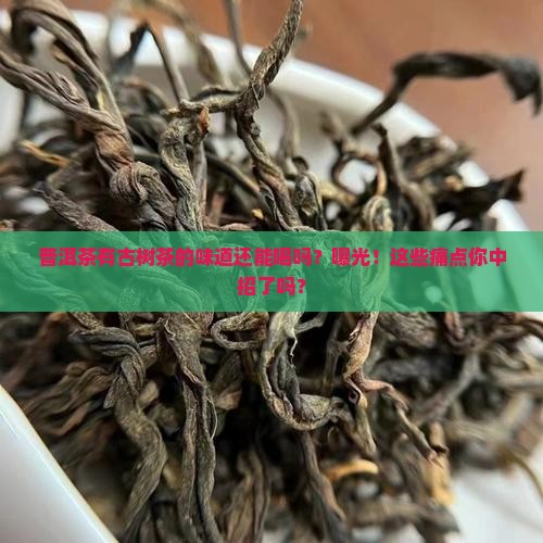 普洱茶有古树茶的味道还能喝吗
