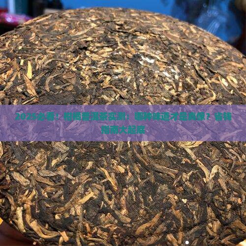 柑橘普洱茶什么味道的好喝