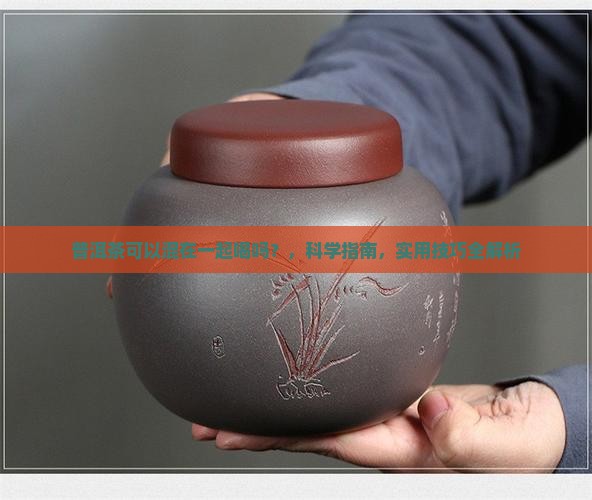 普洱茶可以混在一起喝吗