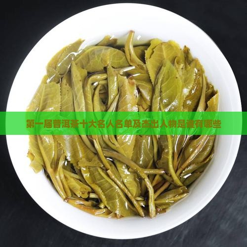 第一届普洱茶十大名人