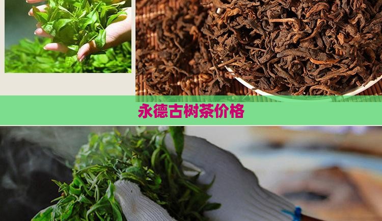 永德古树茶价格