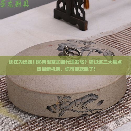 四川熟普洱茶品牌加盟代理