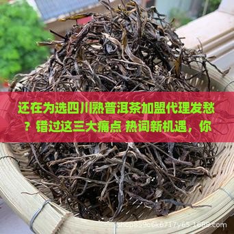 四川熟普洱茶品牌加盟代理