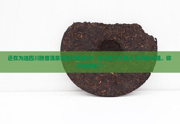 四川熟普洱茶品牌加盟代理