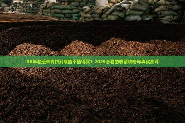 08年老班章青饼