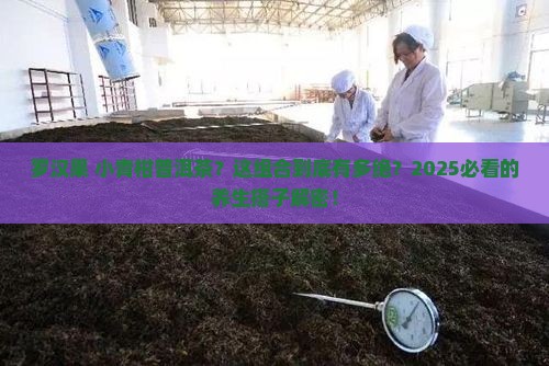 罗汉果与小青柑普洱茶