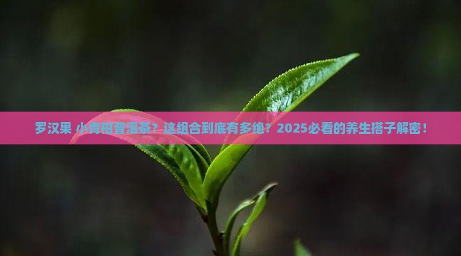 罗汉果与小青柑普洱茶