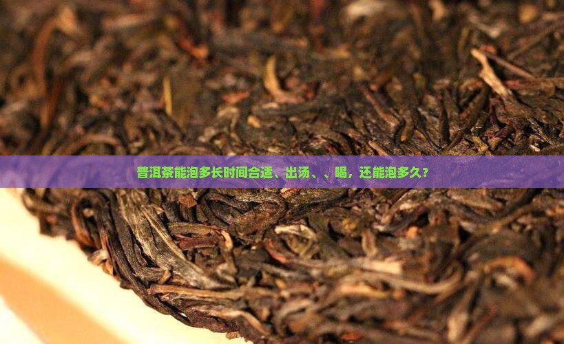 普洱茶能泡多长时间