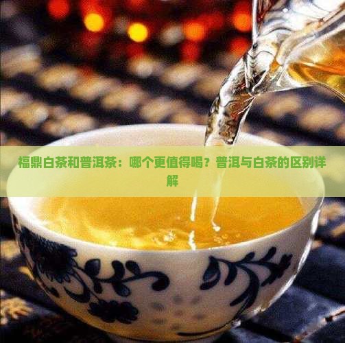 正宗福鼎白茶和普洱茶