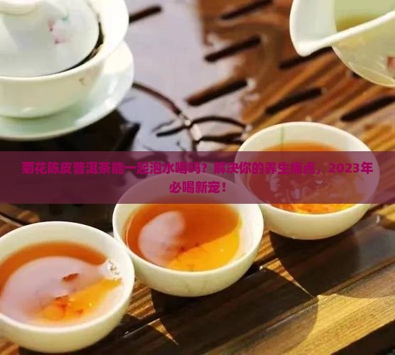 菊花陈皮普洱茶能一起泡水喝
