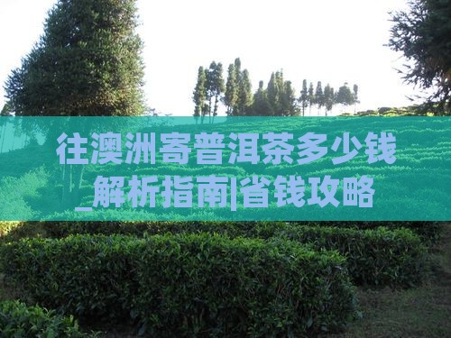往澳洲寄普洱茶多少钱