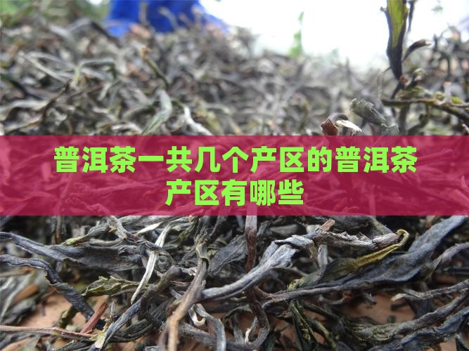普洱茶一共几个产区的