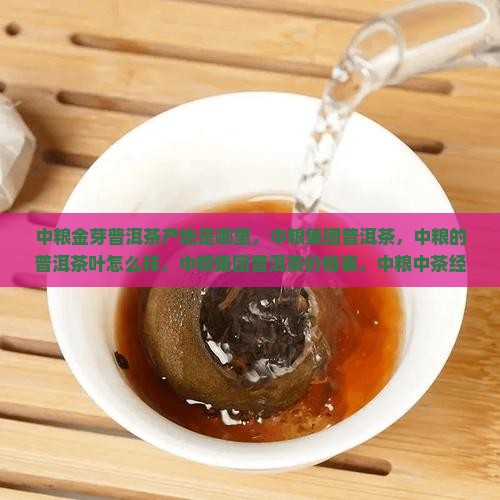 中粮金芽普洱茶产地是哪里
