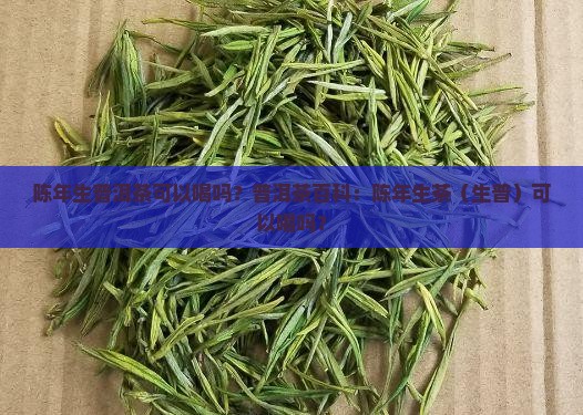 陈年生普洱茶可以喝吗百度百科