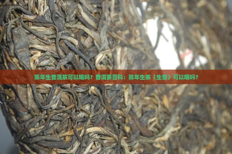 陈年生普洱茶可以喝吗百度百科