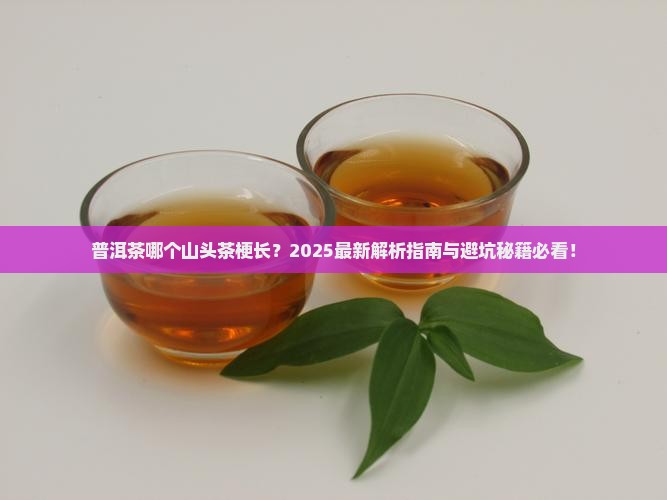普洱茶中哪个山头的茶梗长