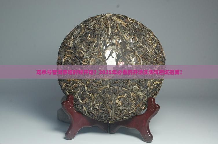 龙承号普洱茶啥时候开始