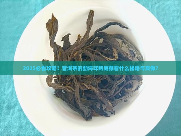 什么是普洱茶的勐海味 什么是普洱茶的勐海味