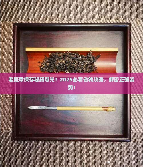 老班章用什么保存