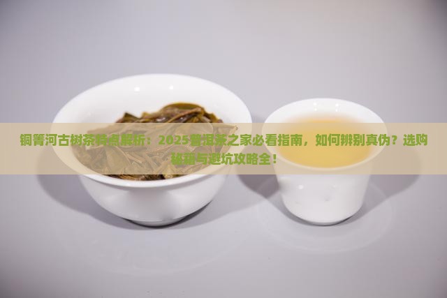 铜箐河古树茶特点普洱茶之家