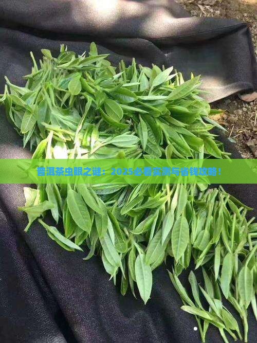 普洱茶有虫眼是什么原因