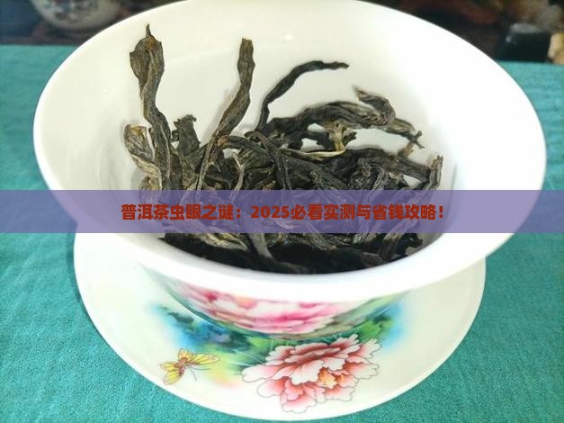 普洱茶有虫眼是什么原因