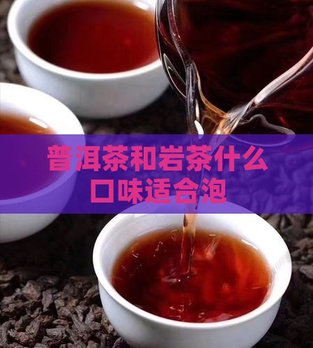 普洱茶和岩茶什么口味适合