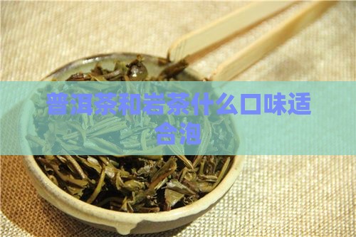 普洱茶和岩茶什么口味适合