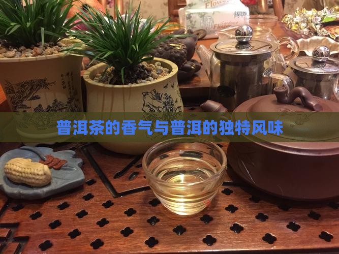 普洱茶有股清香味