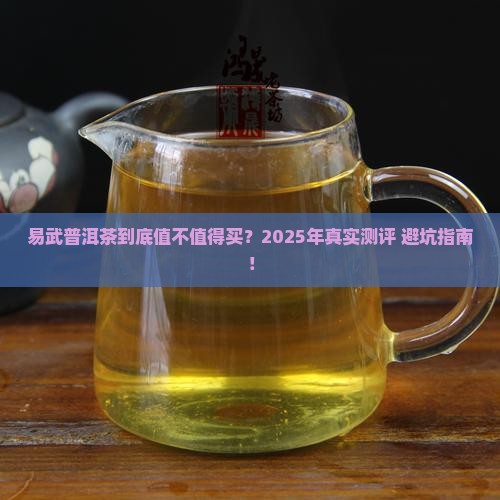 易武普洱茶优缺点有哪些
