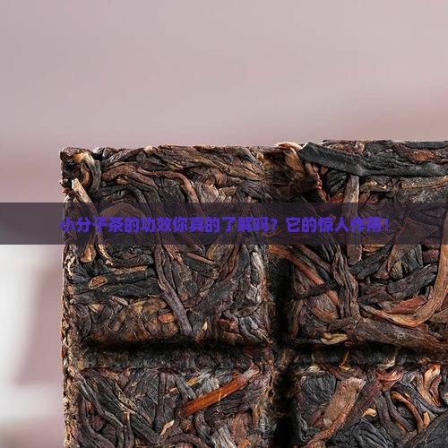 小分子茶的功效